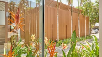 Vista desde la habitación