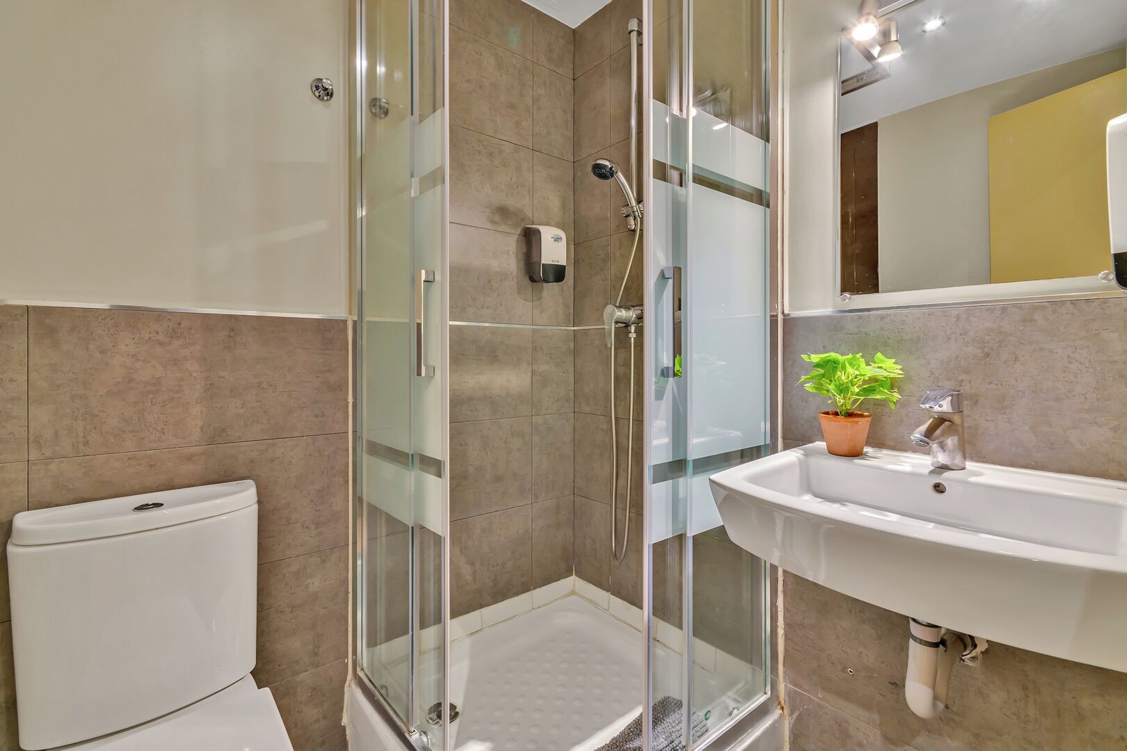 Ein modernes Badezimmer mit Duschkabine aus Glas, einem weißen Waschbecken mit Zimmerpflanze und einer Toilette.