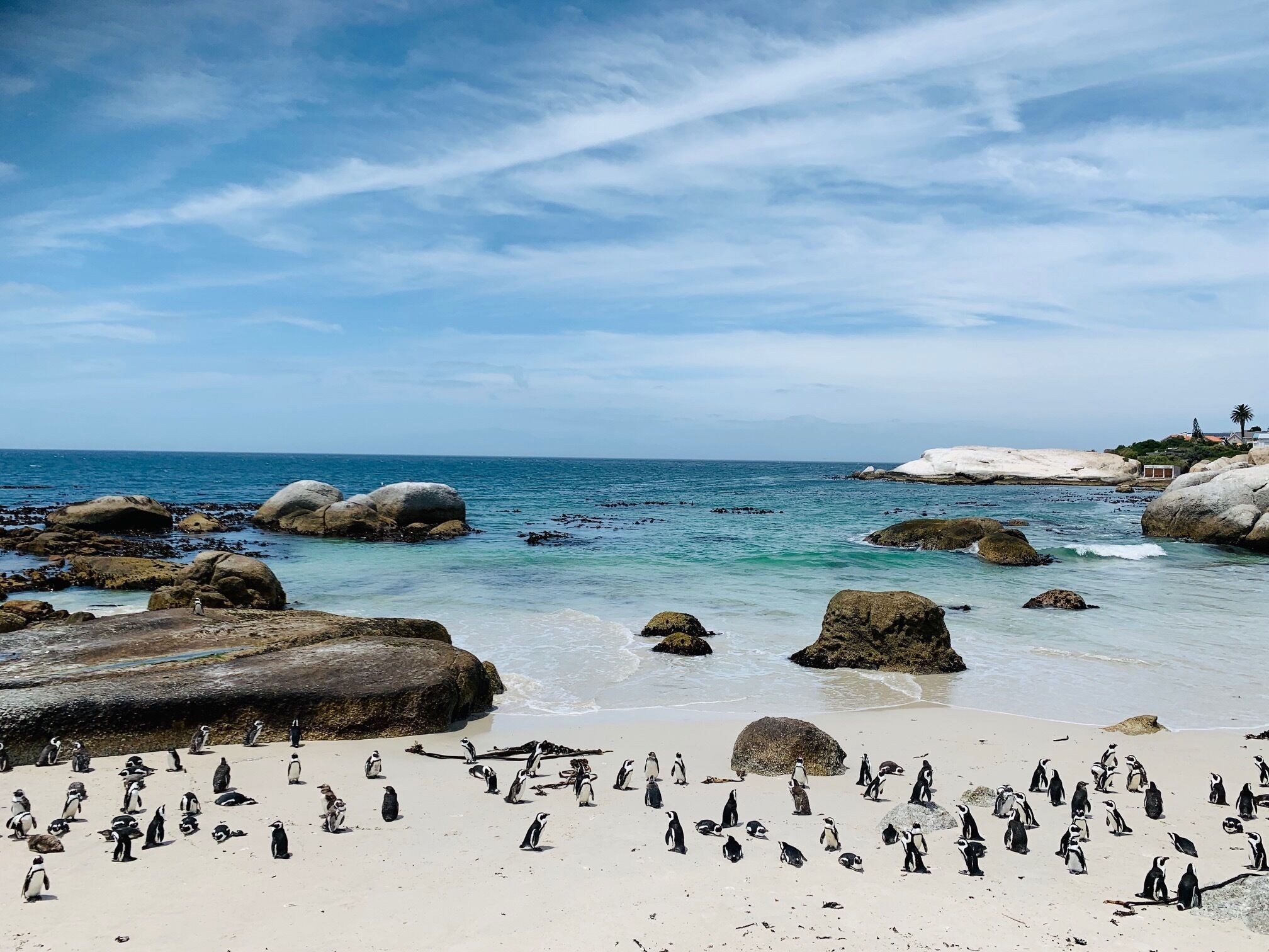 Foto - Abington Manor Fish Hoek Guesthouse