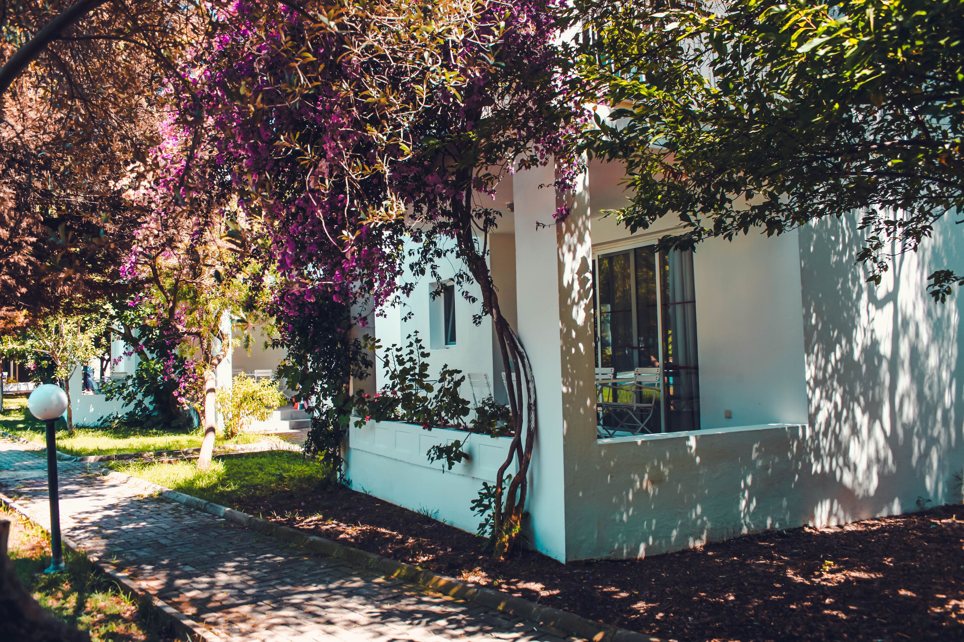家庭公寓, 2 间卧室, 双浴室, 花园 | 2 多间卧室、办公桌、熨斗/熨衣板、免费婴儿床