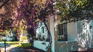 Un edificio blanco con una ventana y un árbol con flores moradas en primer plano.