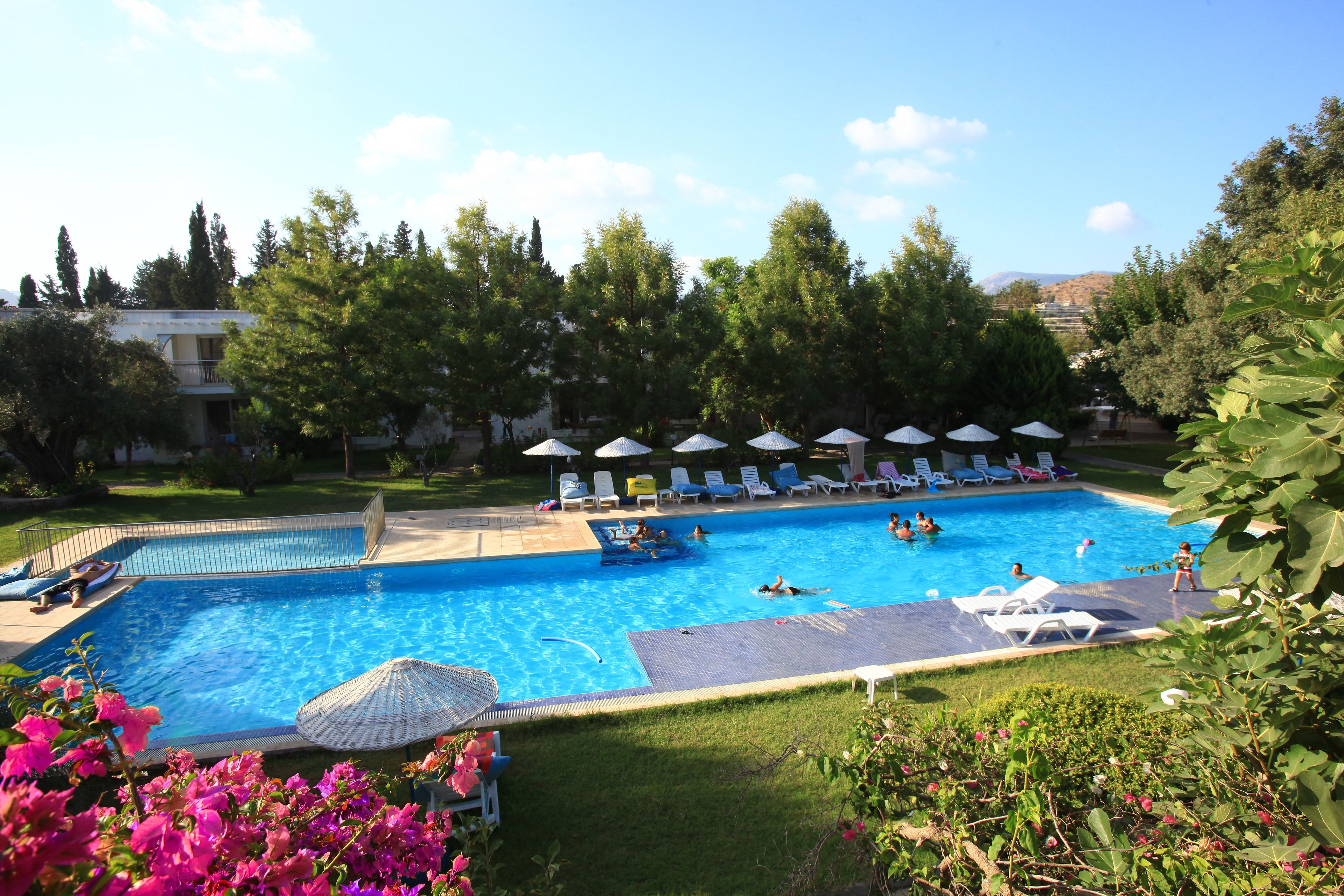 A swimming pool with lounge chairs and umbrellas, surrounded by greenery and trees.