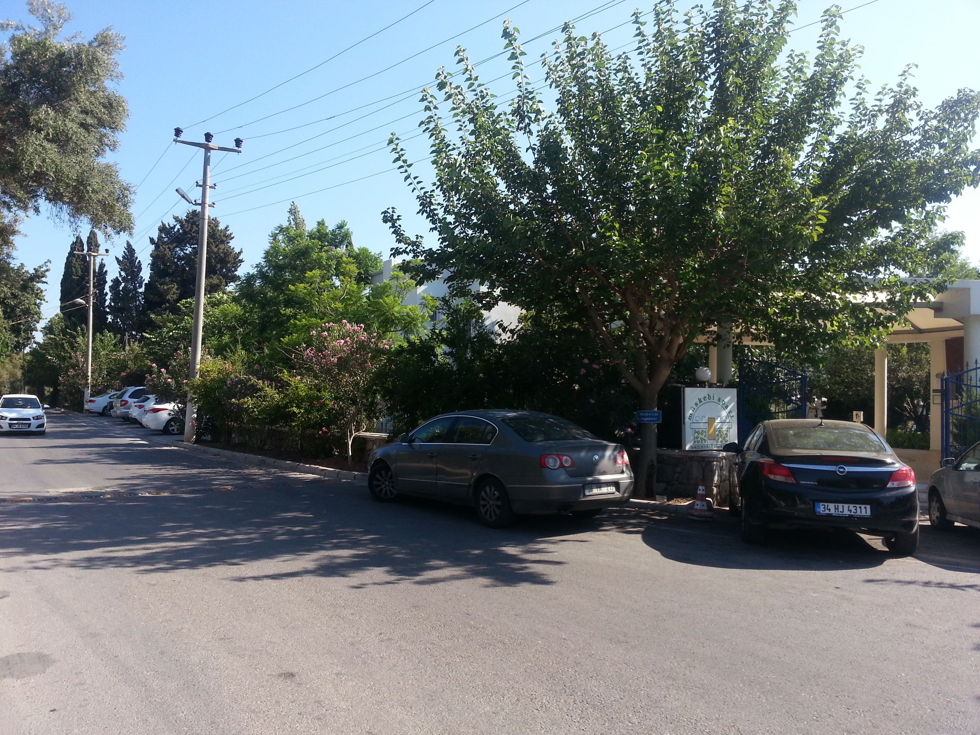 A street with parked cars, trees, and a building with a sign.