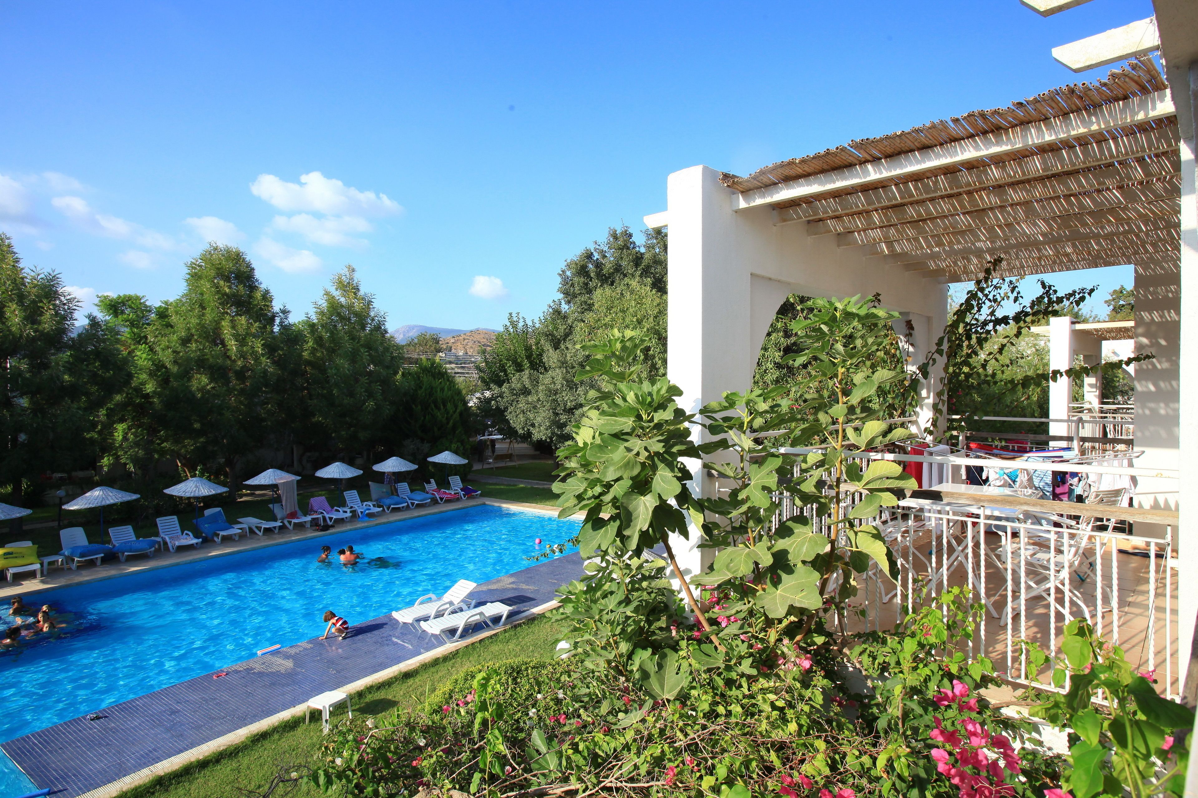 A swimming pool with lounge chairs and umbrellas, surrounded by greenery and a pergola.