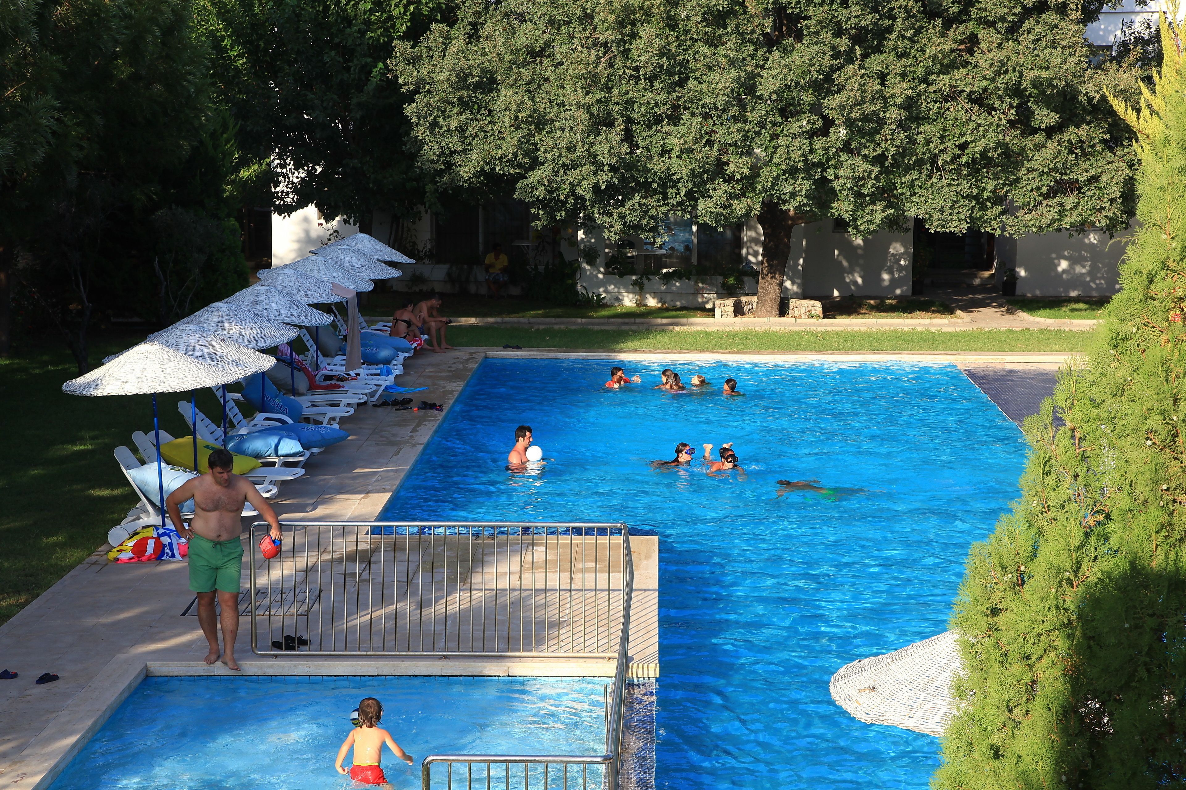 A swimming pool with lounge chairs and umbrellas, surrounded by trees.