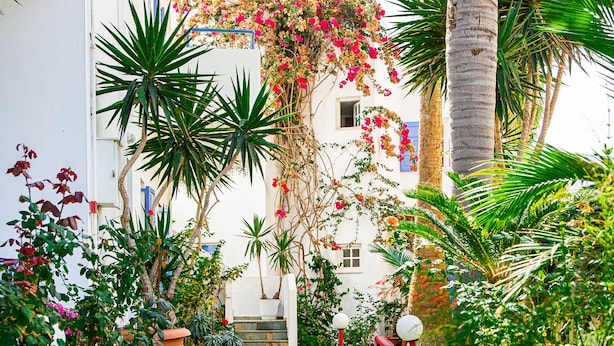 A stone pathway leading to a white building with a garden. - Galini Apartments (Hersonissos)