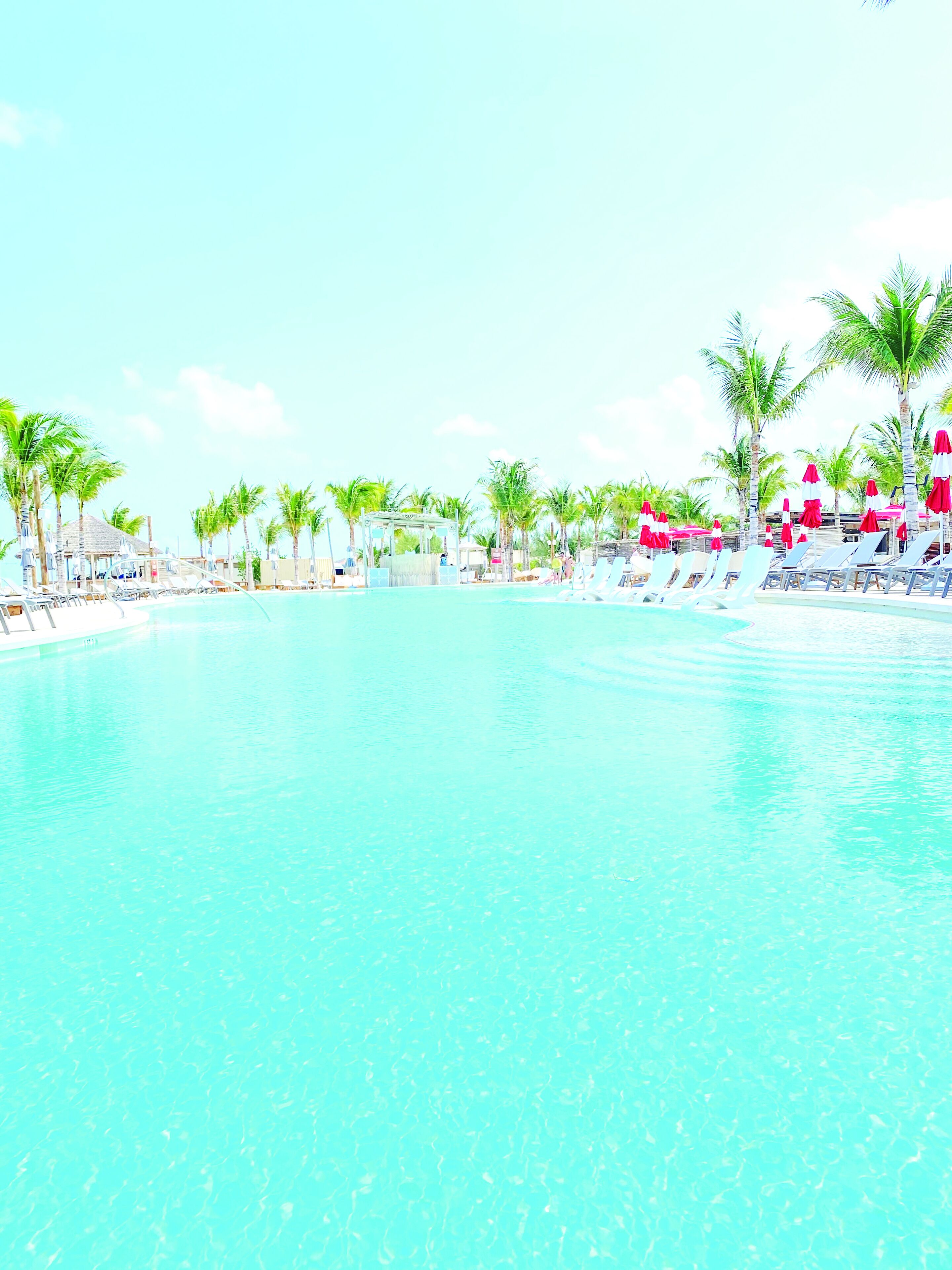A clear blue pool surrounded by palm trees and lounge chairs.