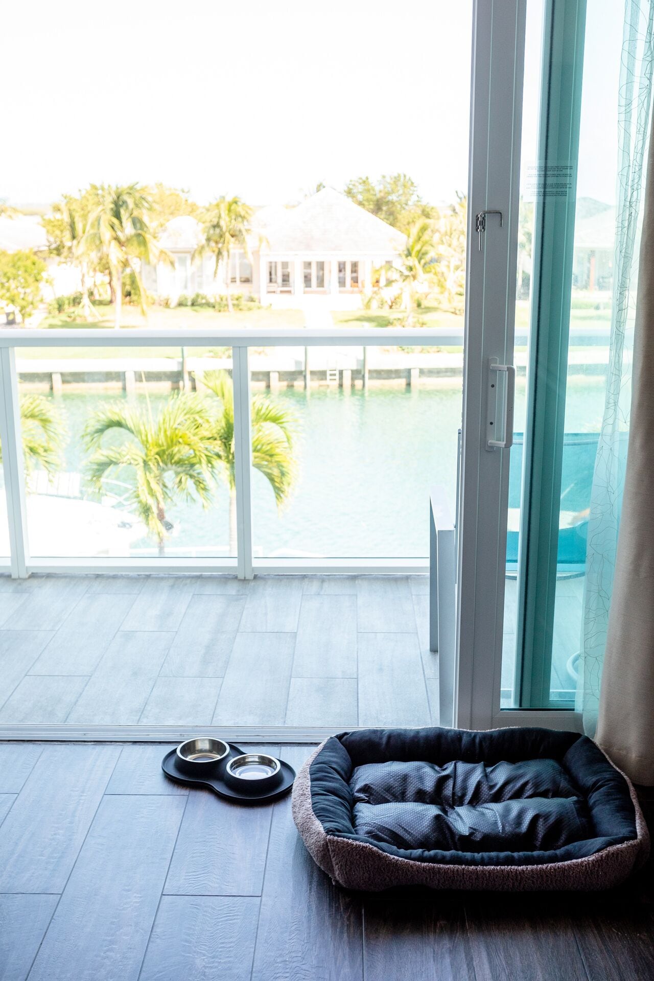 A pet bed and bowls on a balcony with a view of a pool and palm trees.