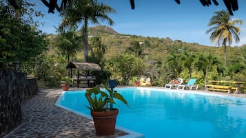 Outdoor pool, sun loungers