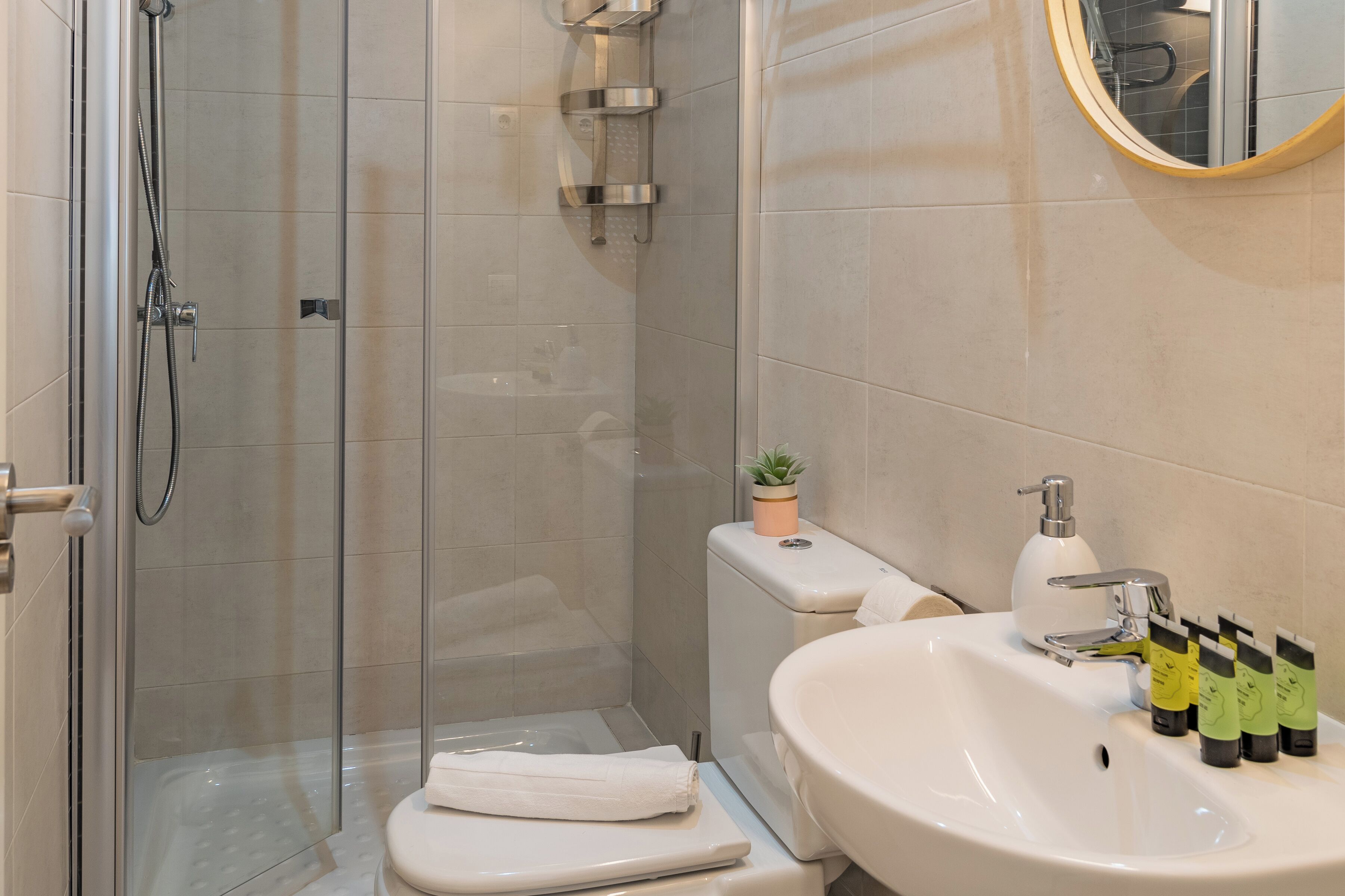 Une salle de bain moderne avec une douche en verre, des toilettes blanches, un lavabo avec des articles de toilette et une petite plante en pot.