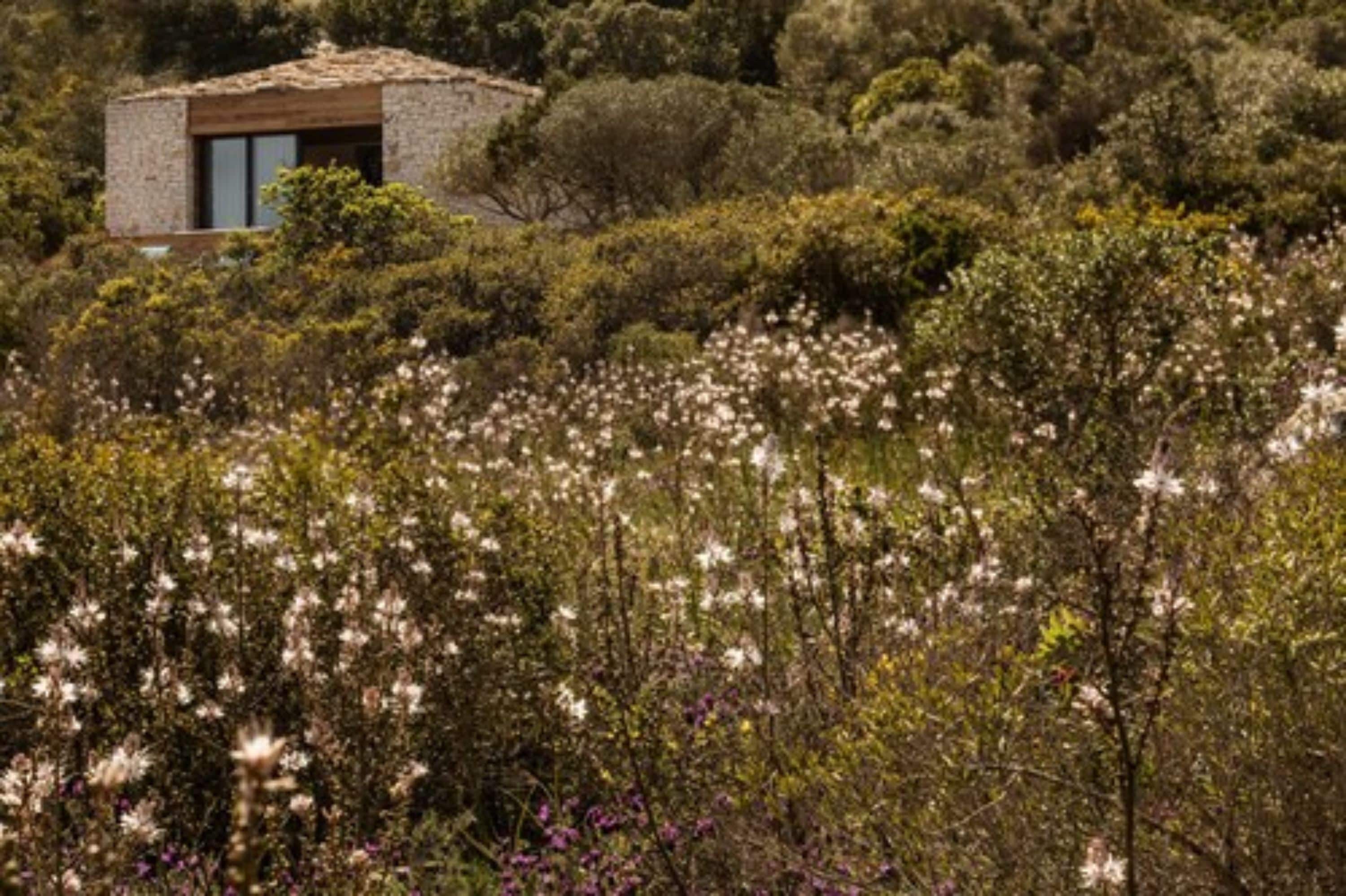 Suite, Hot Tub | Minibar, in-room safe, desk, soundproofing