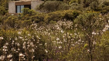 Suite, Hot Tub | Minibar, in-room safe, desk, soundproofing