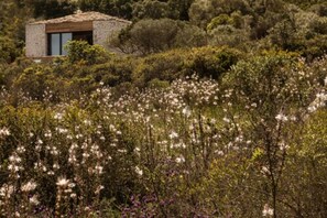 Suite, bubbelbad | Een minibar, een kluis op de kamer, een bureau, geluiddichte muren