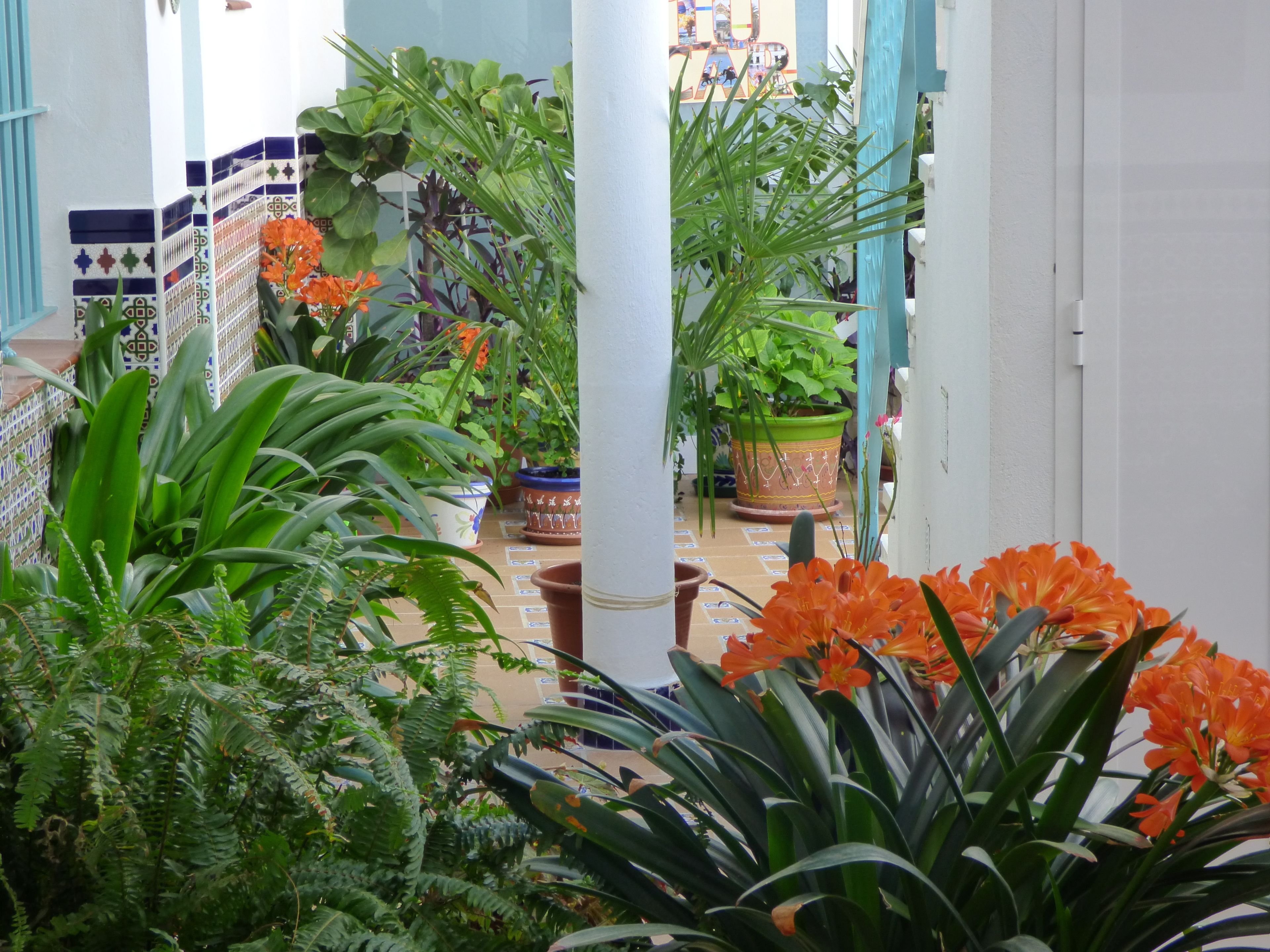 Foto - Hostal Campo Nuevo