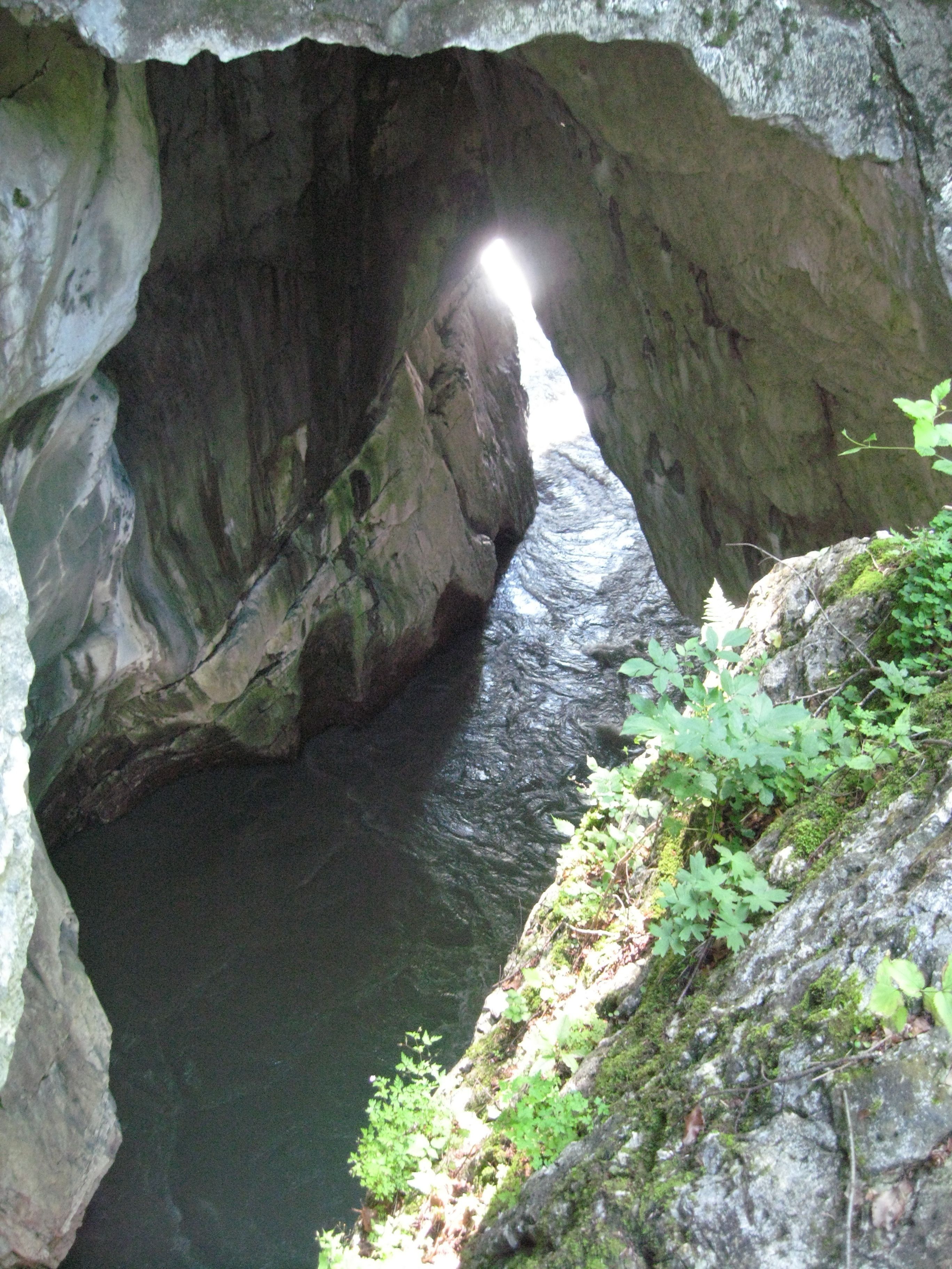 A natural cave entrance with water flowing through it, surrounded by rocky terrain and some greenery.