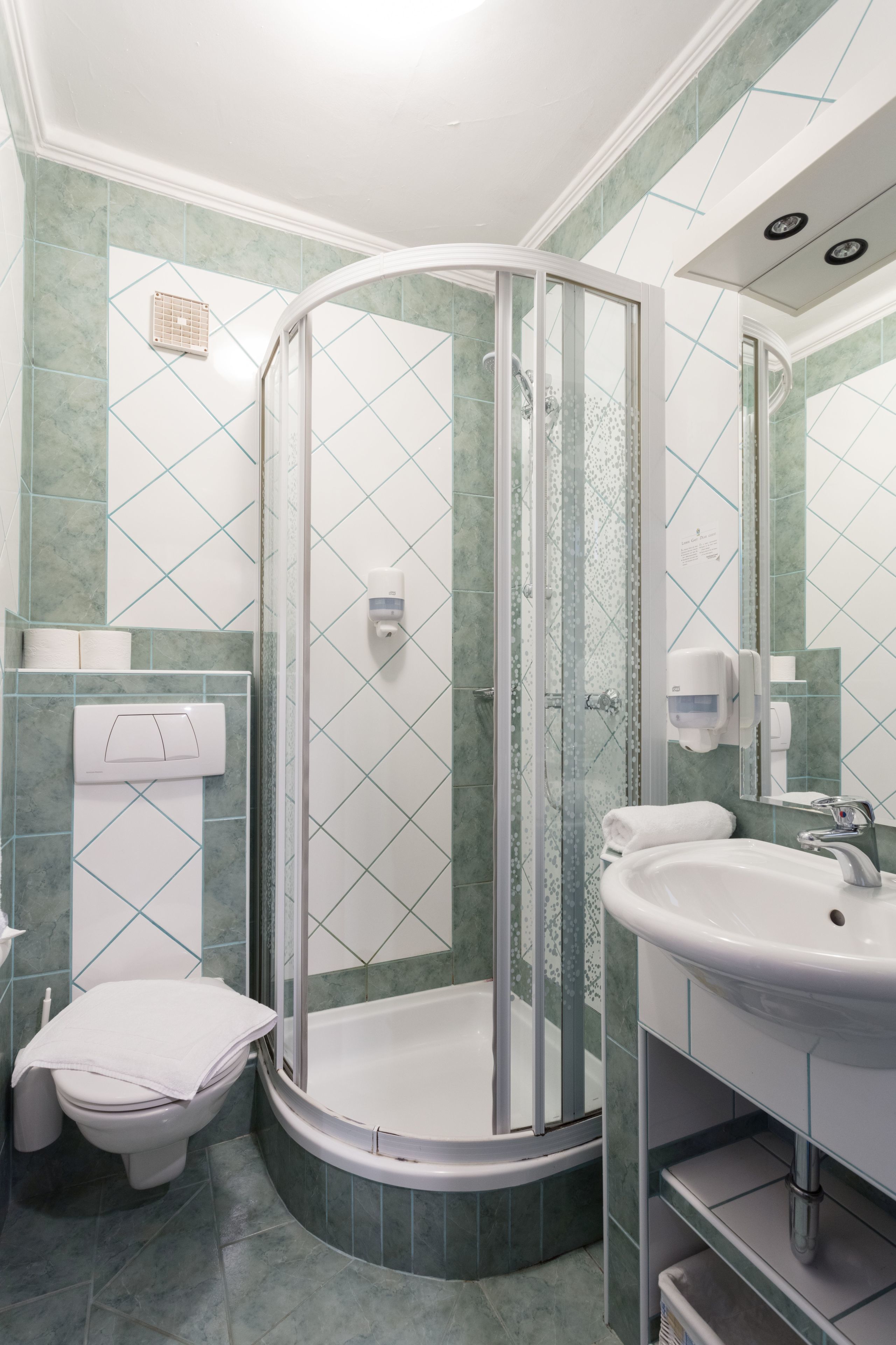 Un baño con ducha de vidrio, un inodoro y un lavabo con espejo.