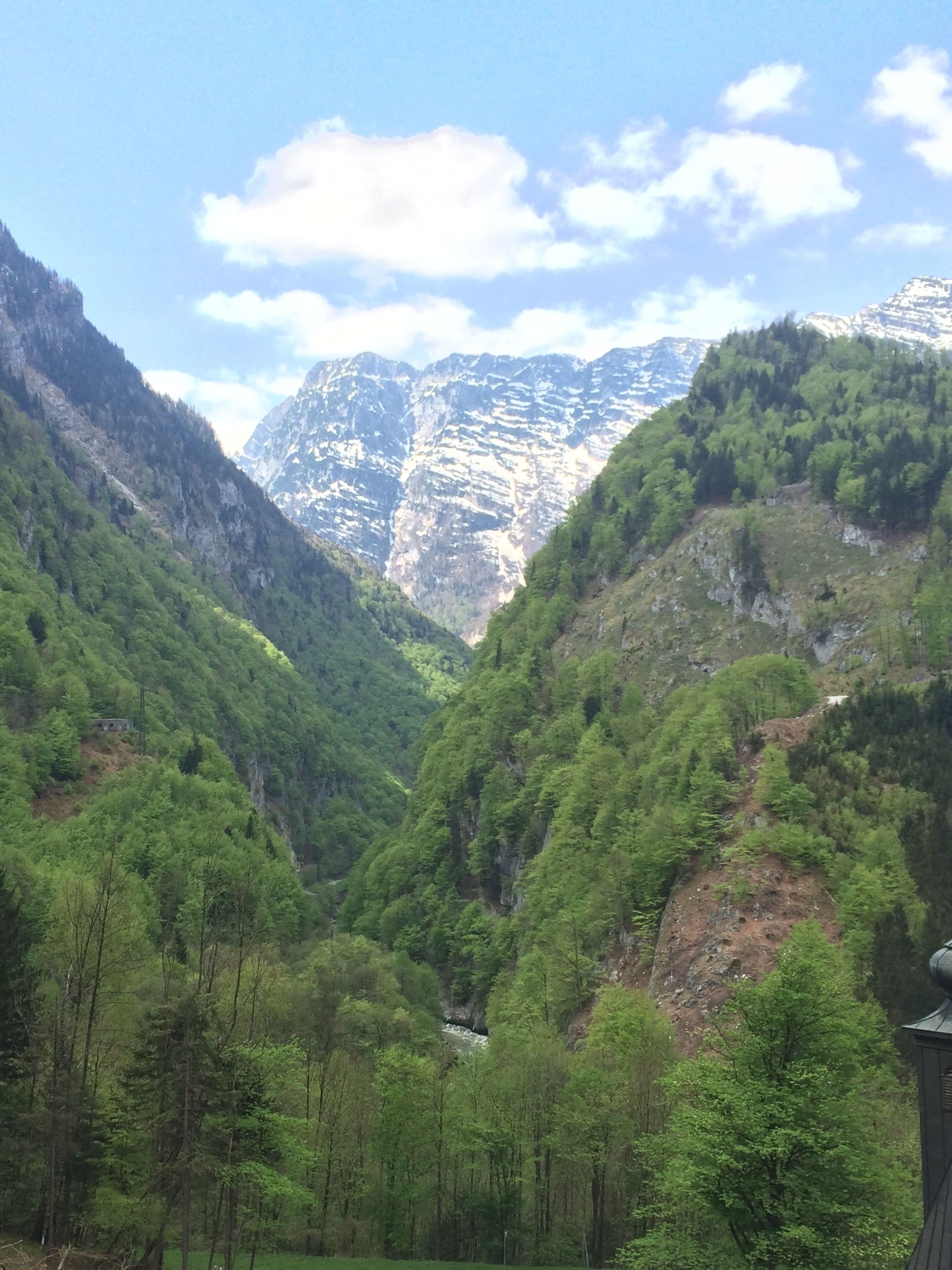 Un paysage montagneux avec de vastes forêts verdoyantes et, au loin, une chaîne de montagnes rocheuse.