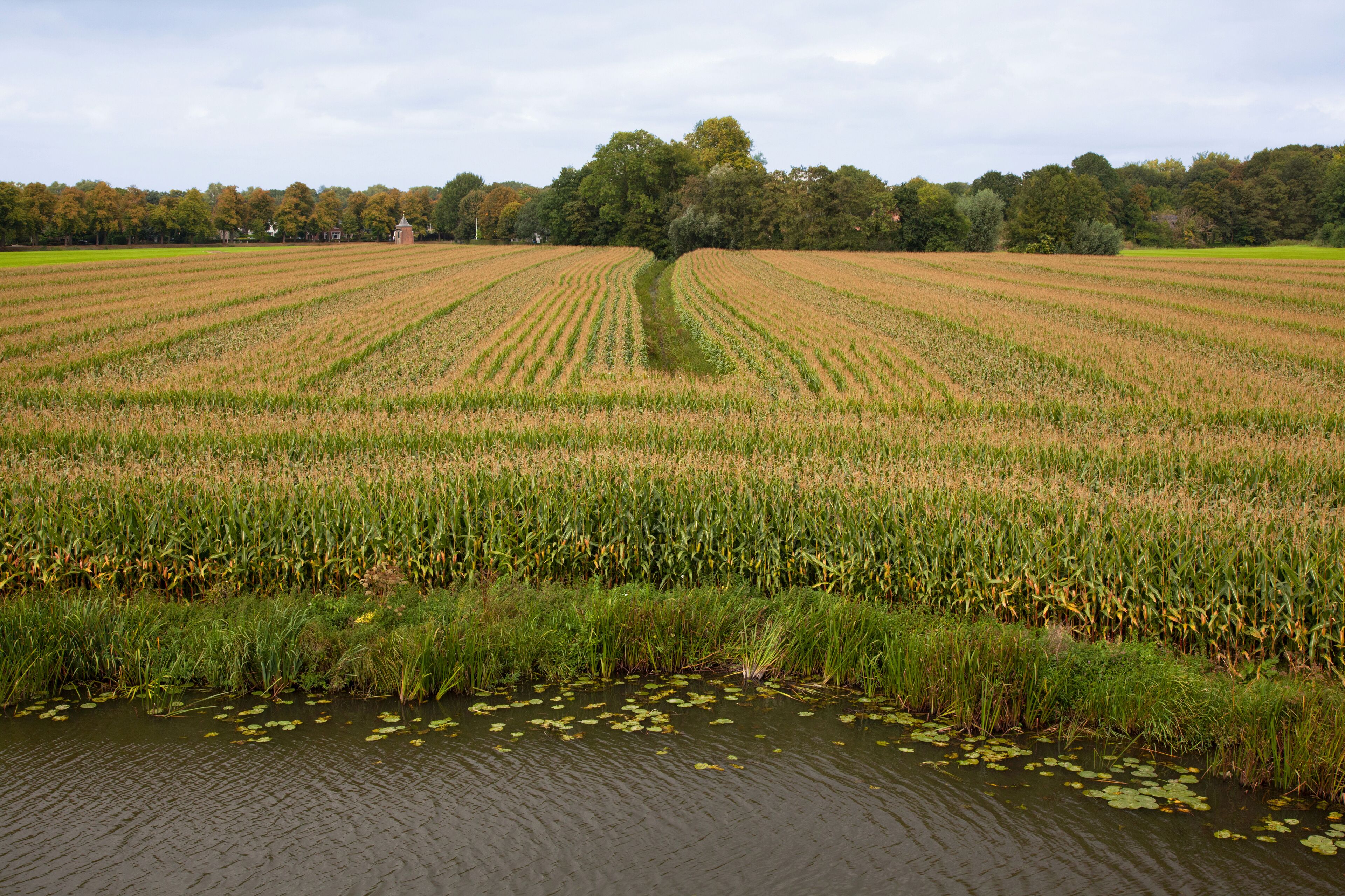 Photo - Het Wapen van Harmelen