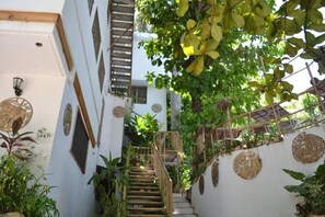 Property grounds - Pacot Breeze (Port-au-Prince)