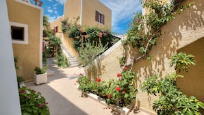 Un pati estret amb una escala que mena a un edifici, envoltat de murs coberts de plantes enfilades i flors.