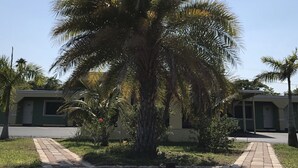A palm tree in a courtyard with a brick pathway leading to a building with a green facade. - Apollo Inn Motel (Cocoa)