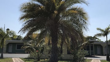 Jardín