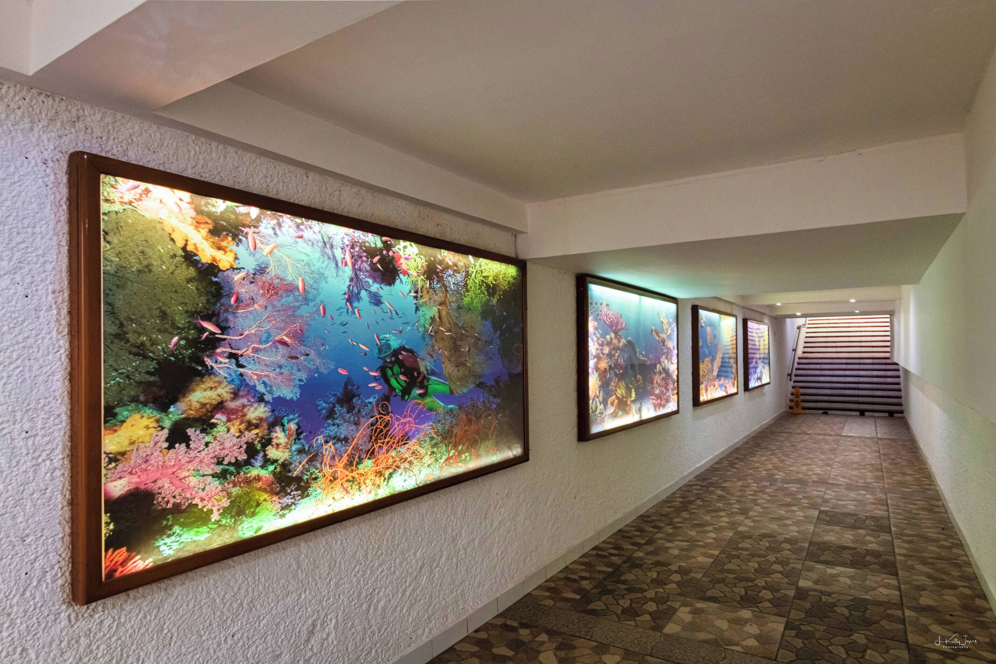 Photo - Cozumel Hotel & Resort All Inclusive