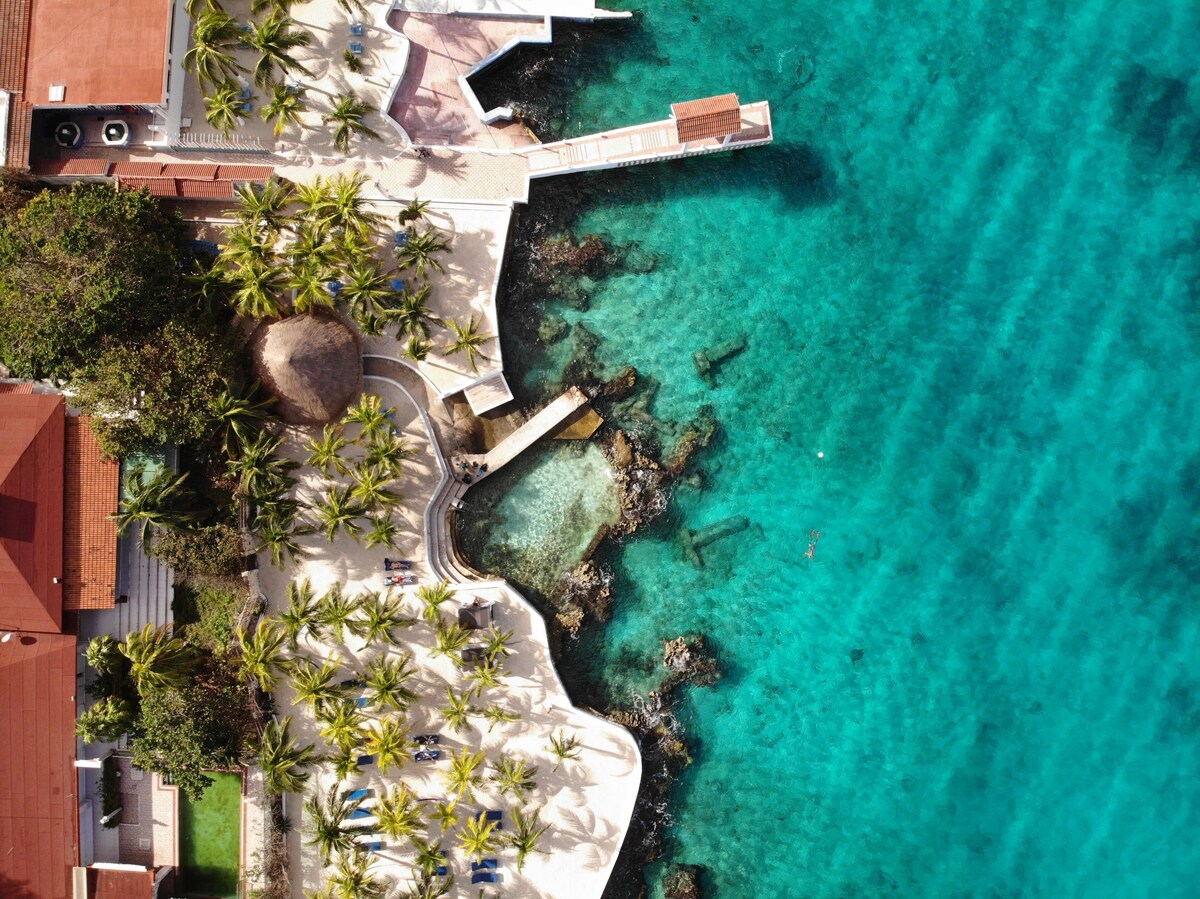 An aerial view of Cozumel Hotel and Resort on the left and the turquoise water curving around the edge of the sandy beach.
 