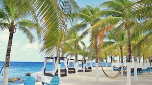 Una playa con palmeras, sillas azules y una hamaca.