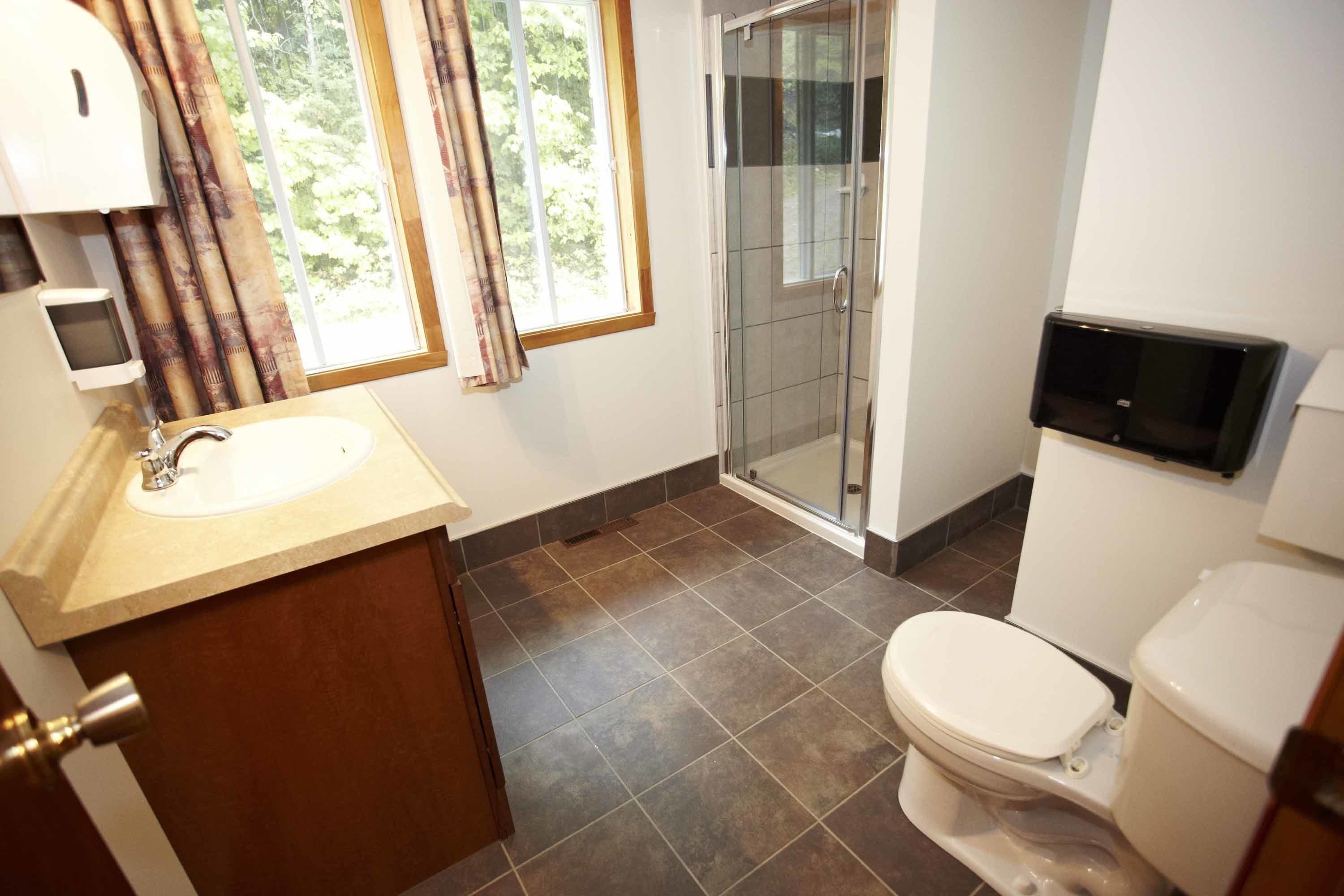 Une salle de bain avec un lavabo, des toilettes et une douche.