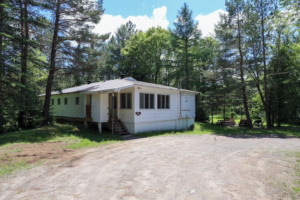 A single-story cabin with a porch, surrounded by trees, and a gravel driveway leading to a picnic area with benches.
