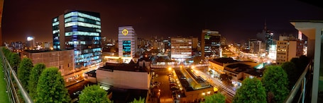 Vista desde la propiedad