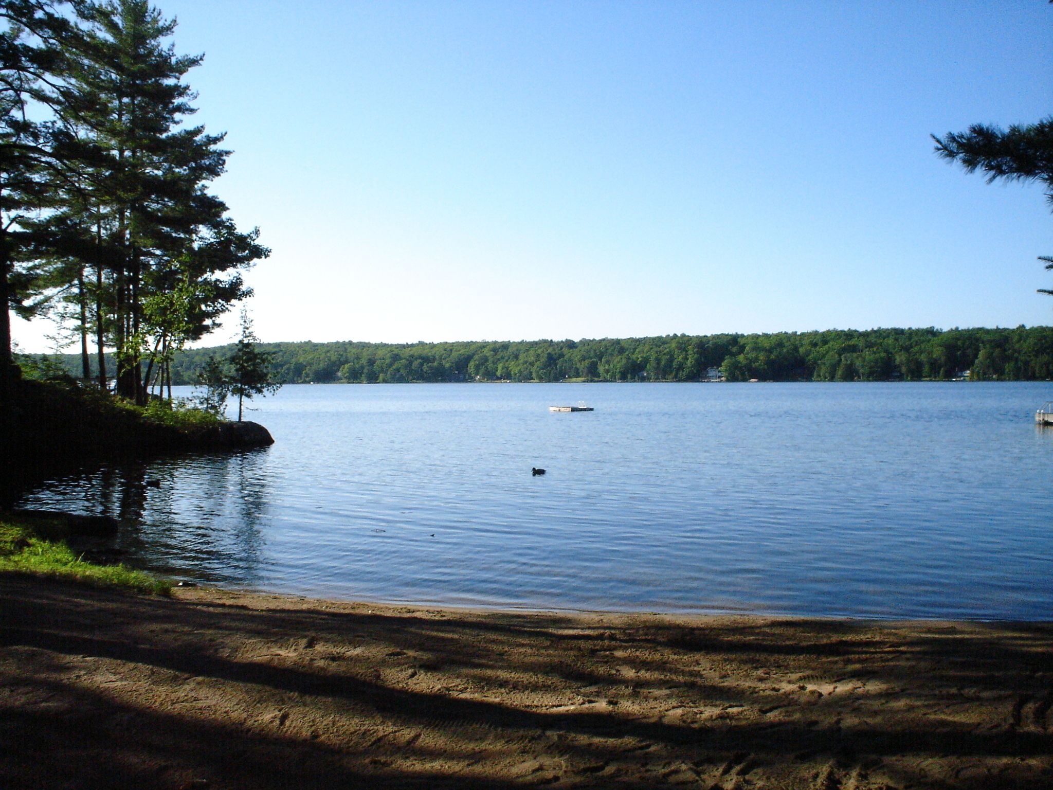 View from property