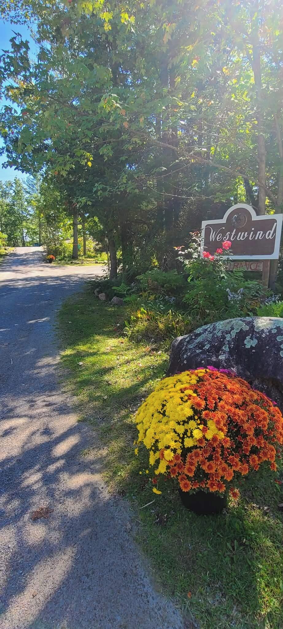 Un panneau de signalisation indiquant le nom « Westwind », et un grand rocher devant lequel sont plantées des fleurs aux couleurs vives.