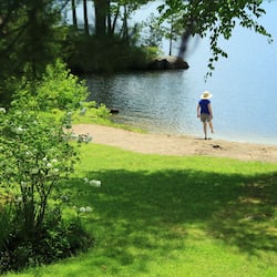 View from property