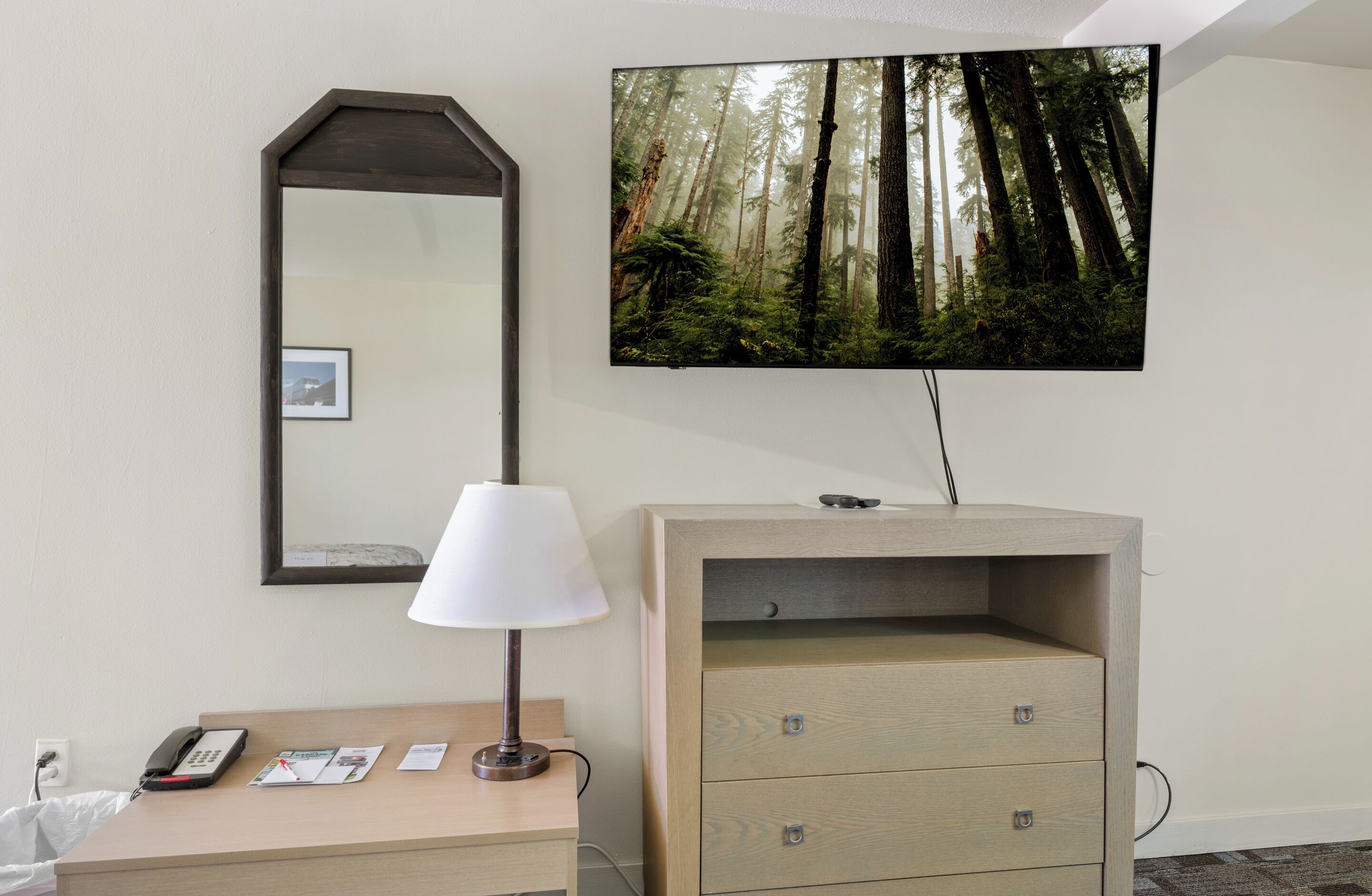 Een hotelkamer met een houten dressoir, een spiegel, een aan de muur bevestigde televisie met daarop een boslandschap, een bedlampje en een telefoon.