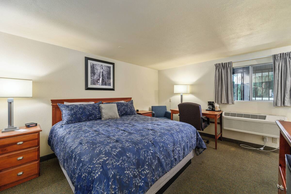 A hotel room with a large bed, a desk, a chair, a lamp, a heater, and a window with curtains.