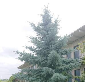 Courtyard view