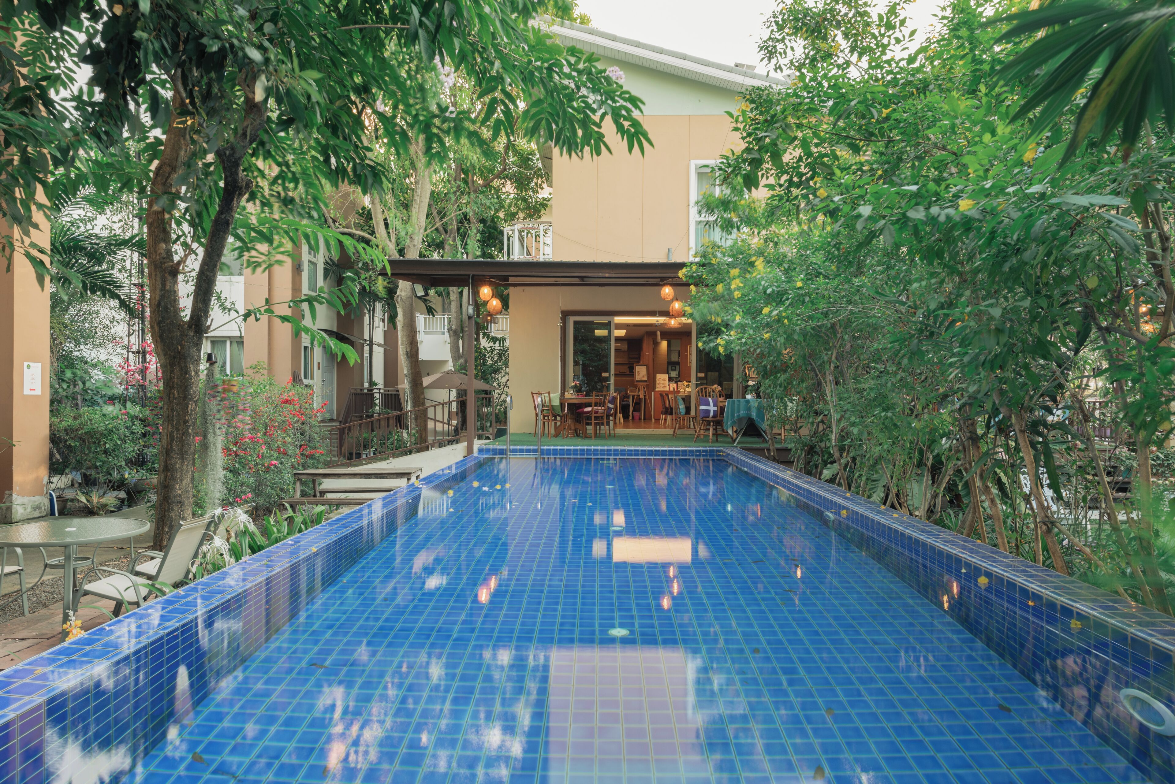 Piscina externa