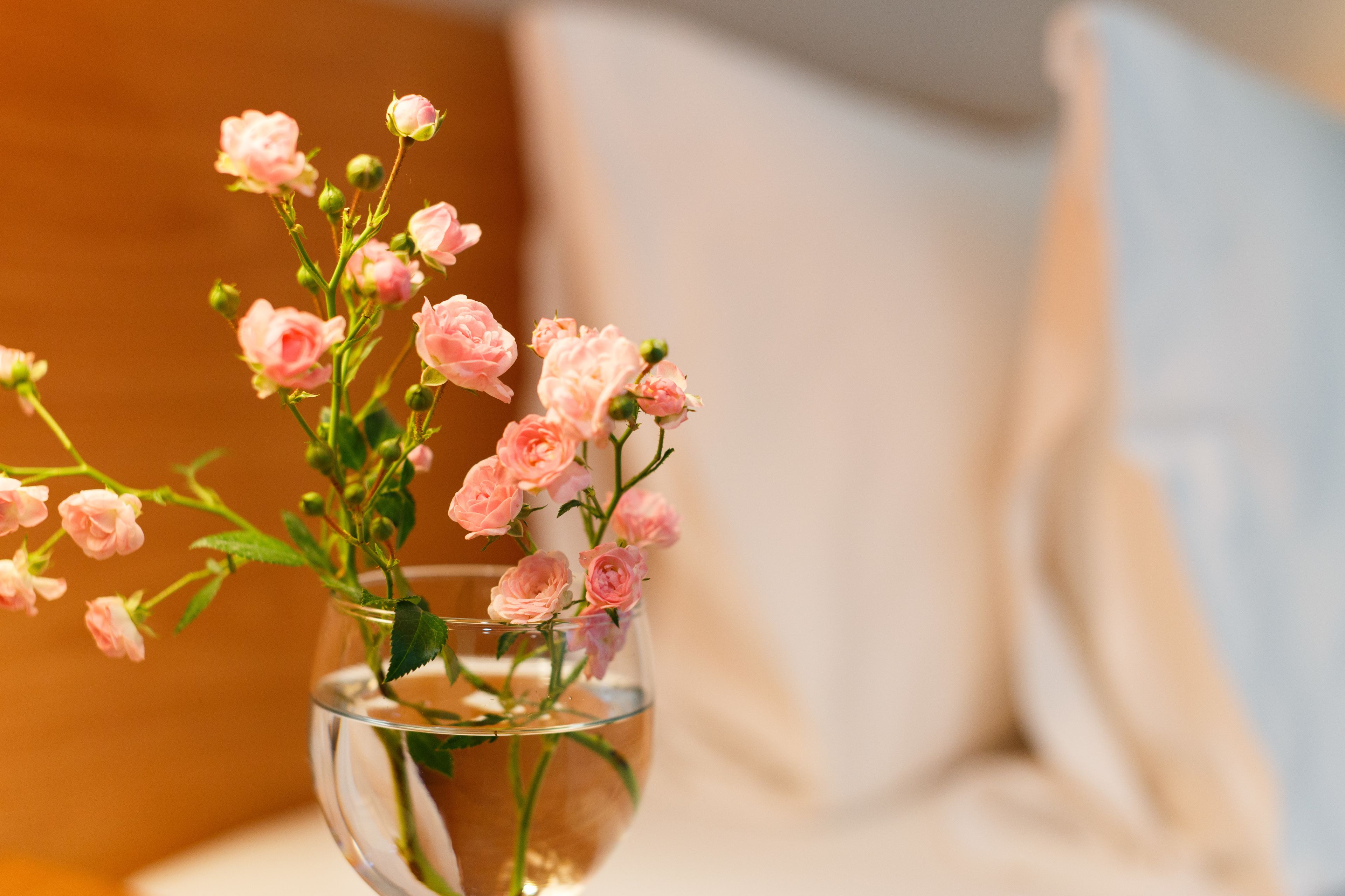 executive garden view- free round trip transfer to airport | 1 bedroom, minibar, blackout curtains, free wifi