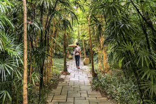 Jardín