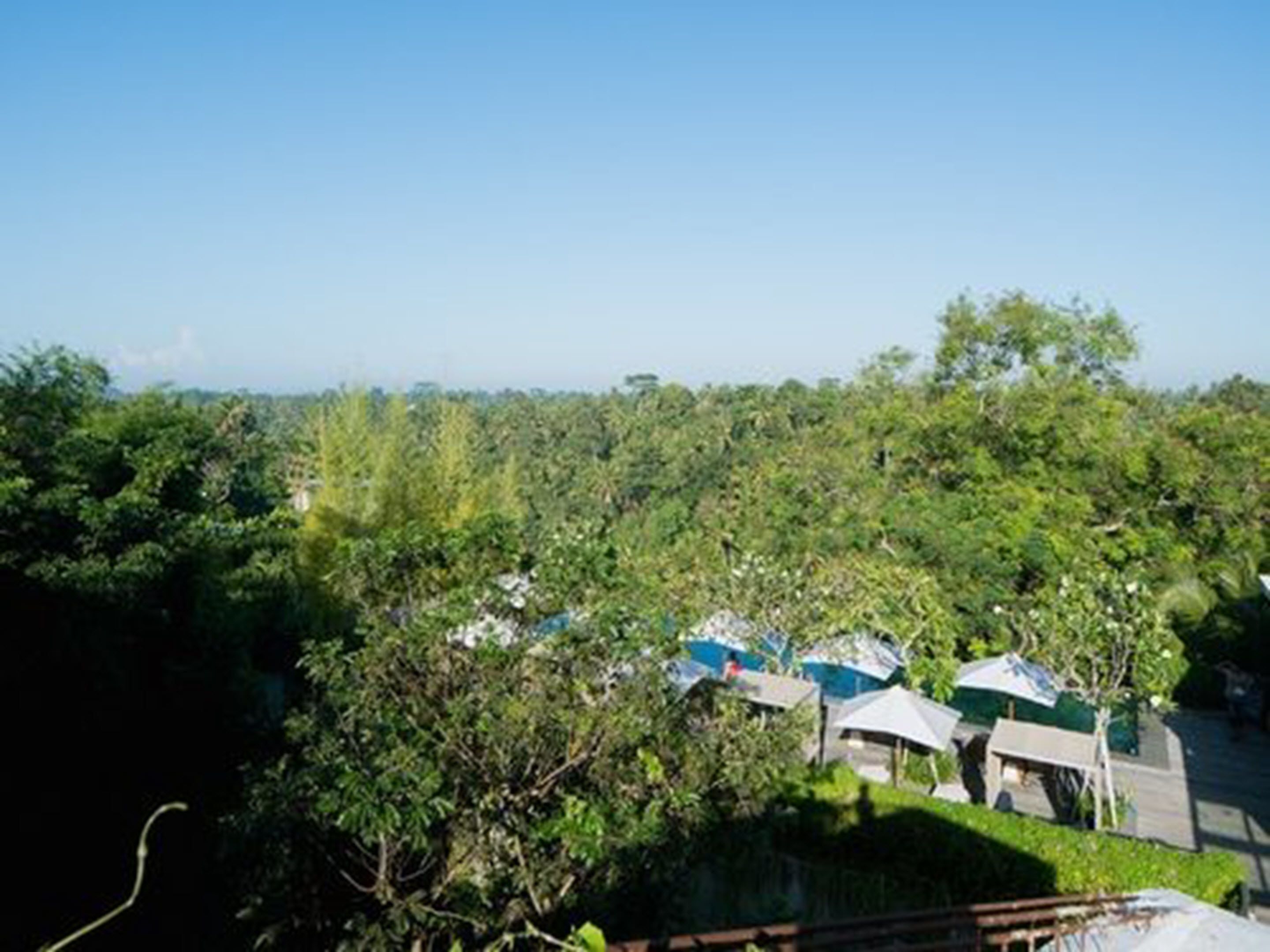 A view of a lush green area with several small structures, possibly guest houses or cabins, surrounded by dense vegetation.