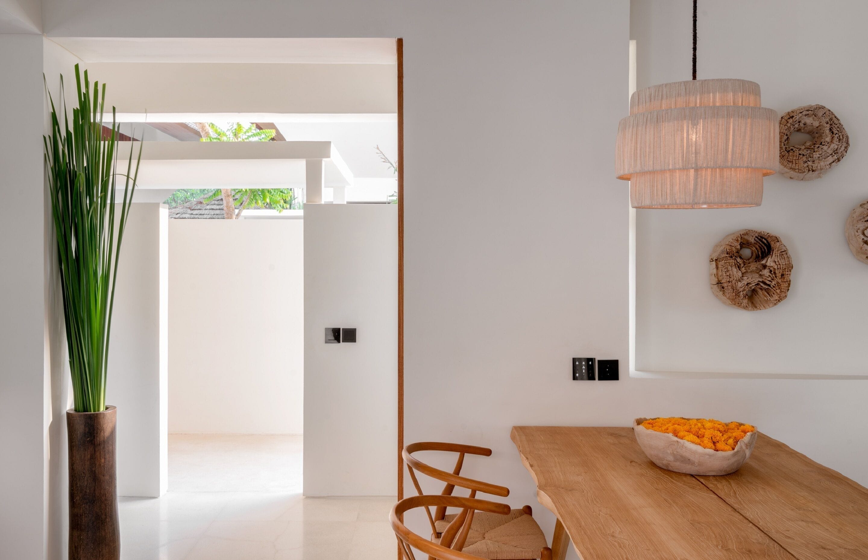 A modern dining area with a wooden table, chairs, a bowl of snacks, a hanging light fixture, and a potted plant.
