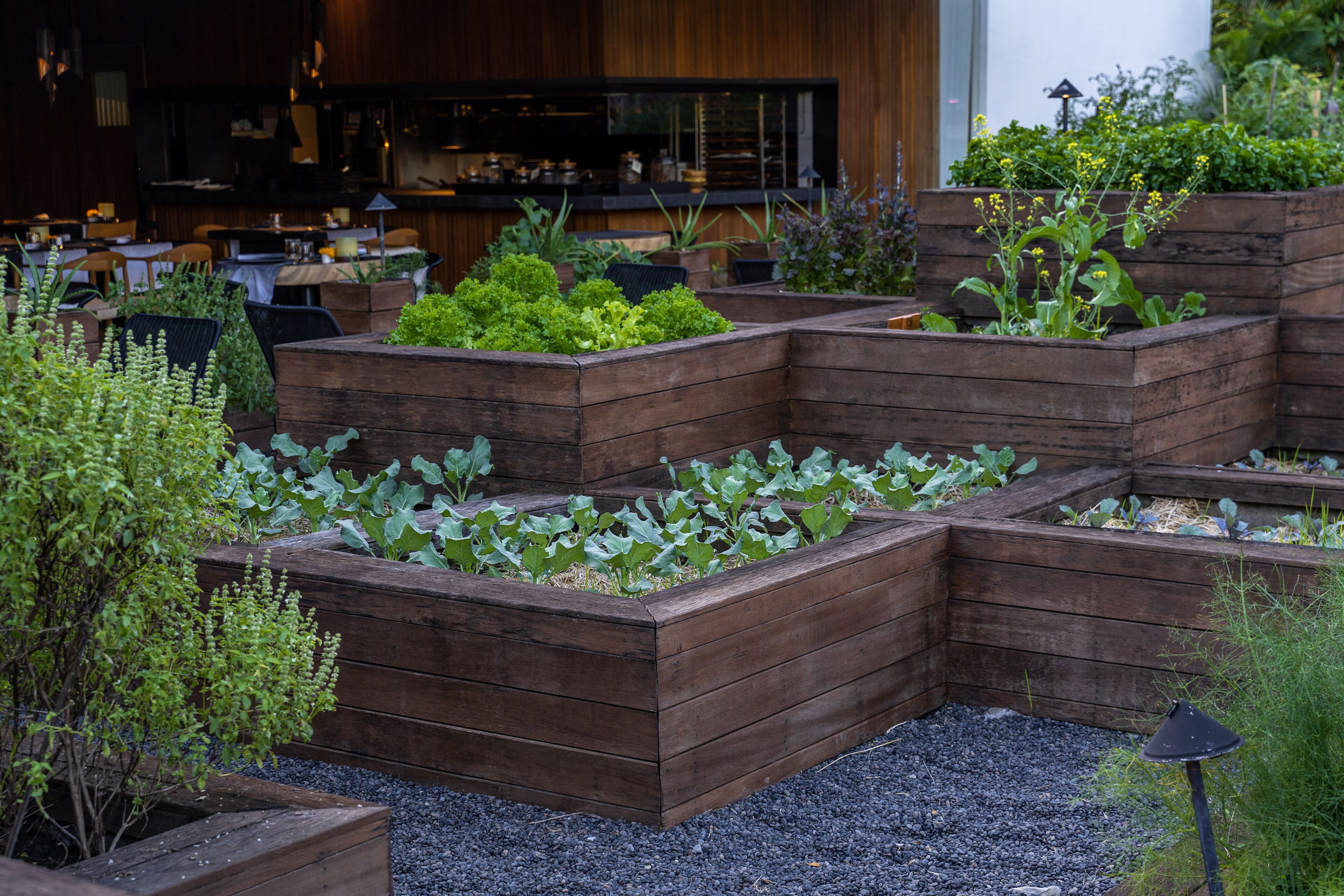 A restaurant with outdoor seating and raised wooden planters with various plants.