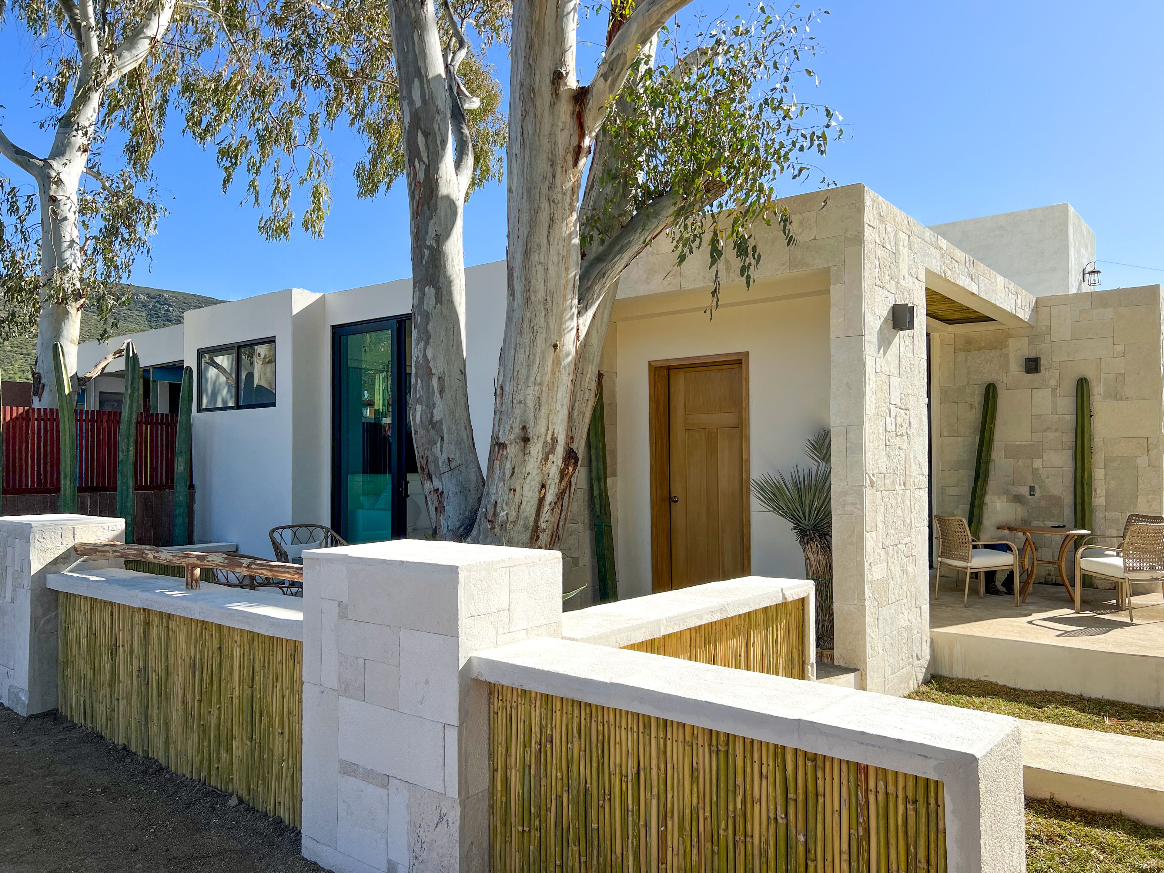 Een modern gebouw met een plat dak, grote ramen en een houten deur. Twee grote bomen staan voor het gebouw, en er is een klein terras met een tafel en stoelen.