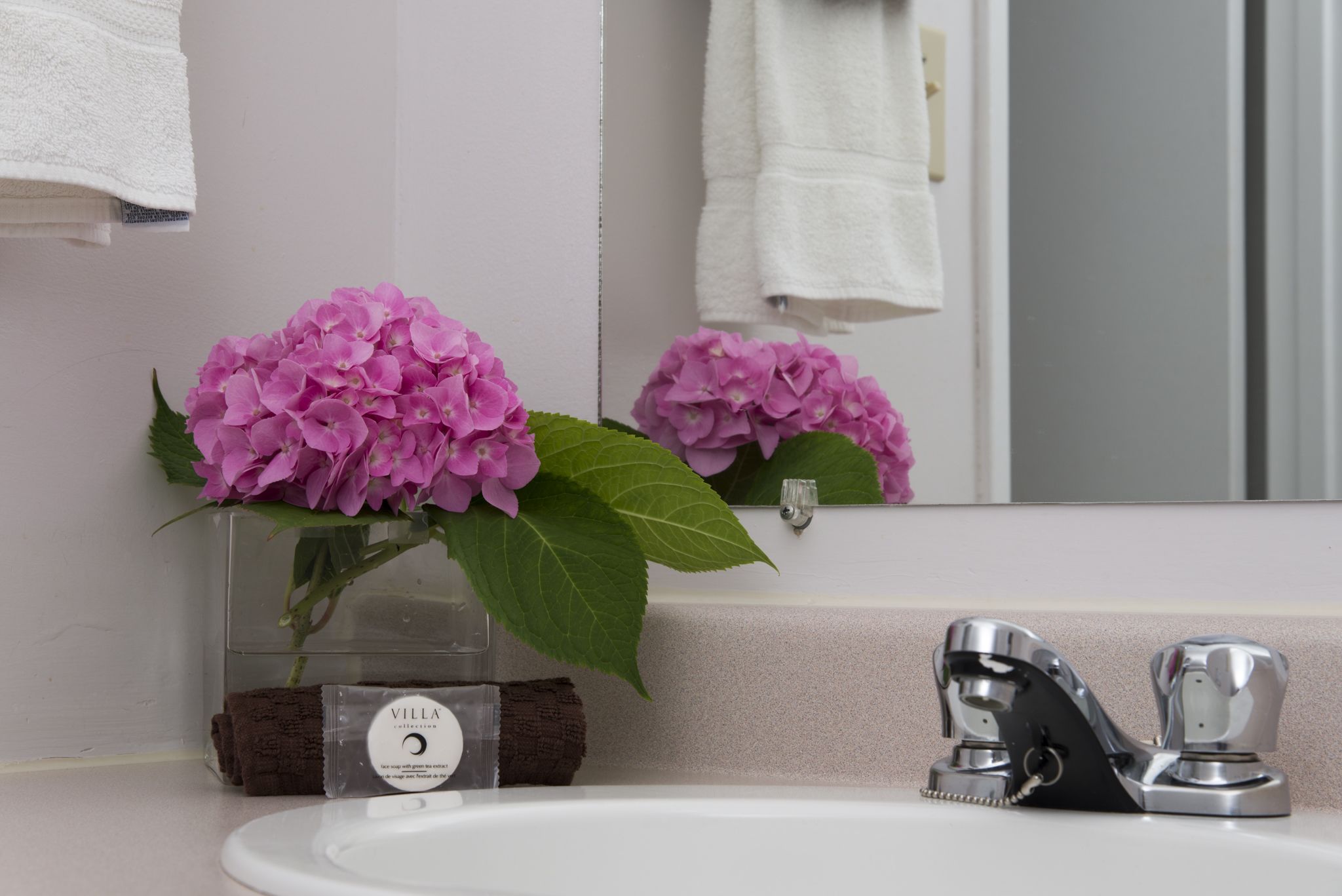 A bathroom with a white sink, a mirror, and a vase of pink flowers.