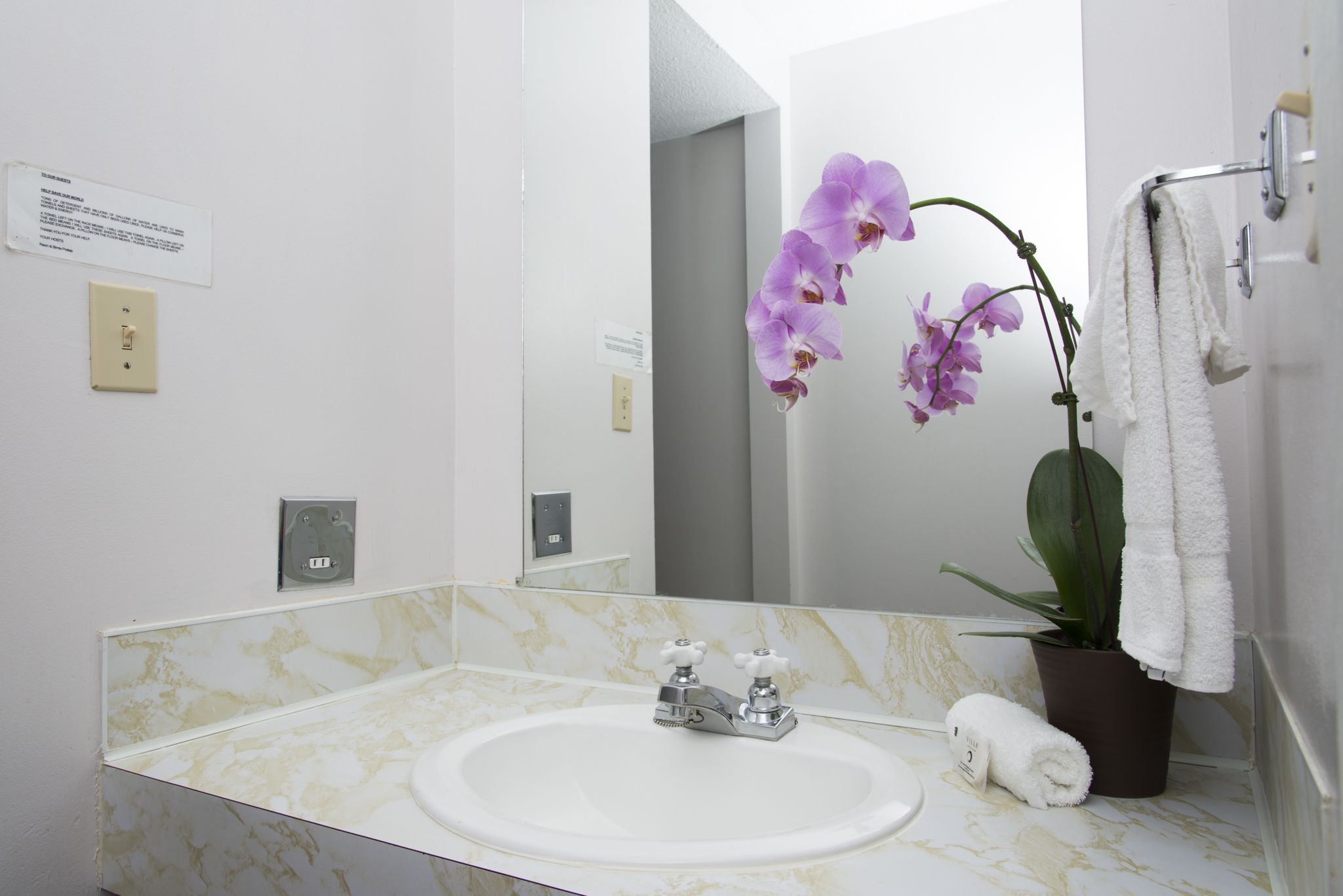 A bathroom with a marble sink, a mirror, a potted plant, and a towel rack.
