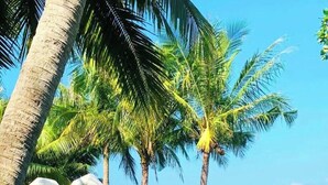 A beach scene with palm trees, a heart-shaped sculpture, and the word 'KOHCHANG' visible. - Coral Resort (Ko Chang)