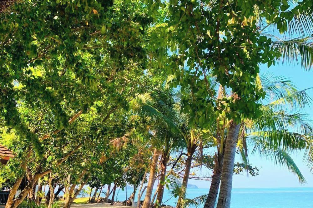 Coral Resort