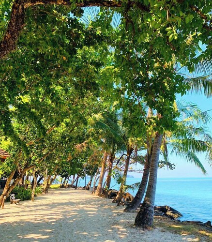 Coral Resort